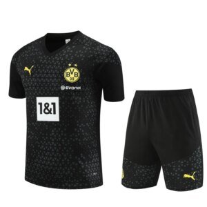 23-24 Borussia Dortmund Short Sleeve Training Suit