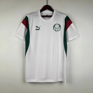 23-24 Palmeiras Special Fans Jersey