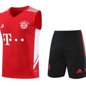 23-24 Bayern Munich Training Vest Suit